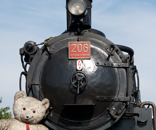 teddy
